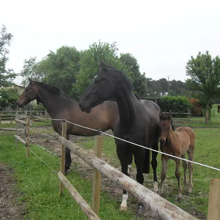 Bed & Breakfast Cheval Chanceux Bazouges-sur-le-Loir