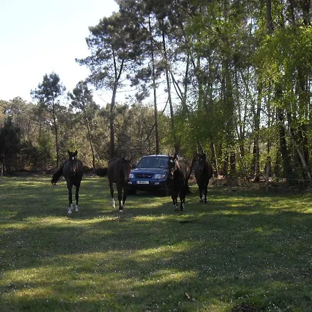 Cheval Chanceux לינה וארוחת בוקר